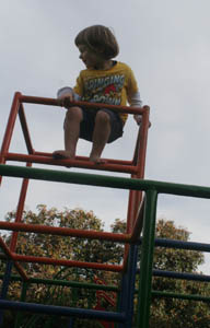 climbs to the top of the jungle gym.jpg