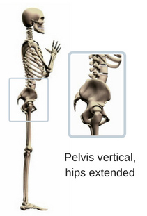 Hollow lumbar spine (1).jpg