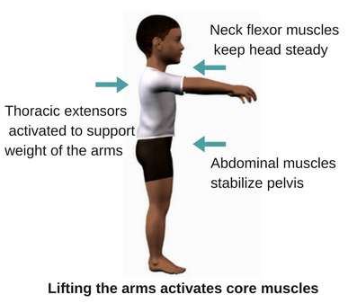 child-core-muscle-action.jpg