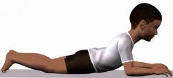 Prone forearm support df.jpg